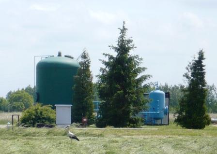 Csornai gólya