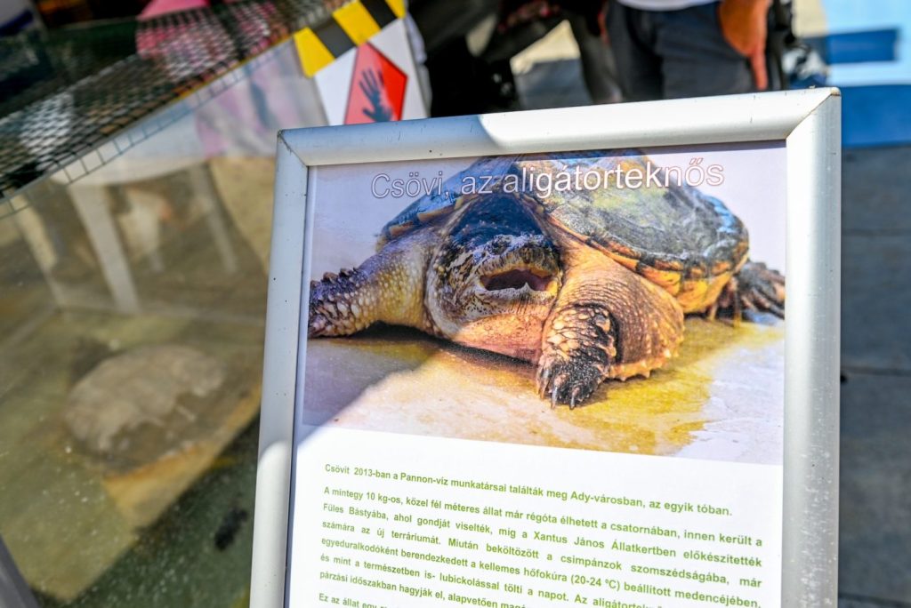 Tájékoztató tábla Csöviről
