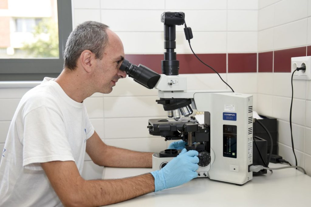 A víz ellenőrzése mikroszkóppal a laboratóriumban